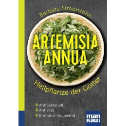 Artemisia annua -...